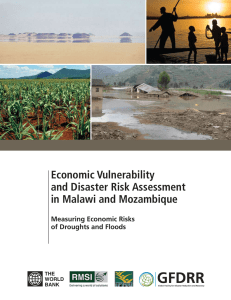 Economic Vulnerability and Disaster Risk Assessment in Malawi and Mozambique Measuring Economic Risks