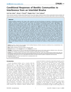 Conditional Responses of Benthic Communities to Interference from an Intertidal Bivalve *