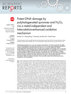 Potent DNA damage by polyhalogenated quinones and H O via a metal-independent and