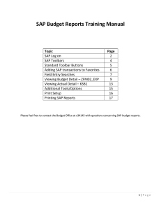 SAP Budget Reports Training Manual