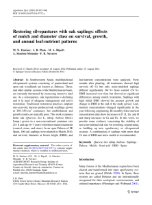 Restoring silvopastures with oak saplings: effects and annual leaf-nutrient patterns