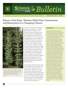 Bulletin Return of the King:  Western White Pine Conservation