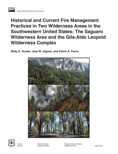 Historical and Current Fire Management Southwestern United States: The Saguaro