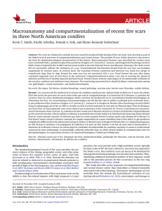 ARTICLE Macroanatomy and compartmentalization of recent ﬁre scars