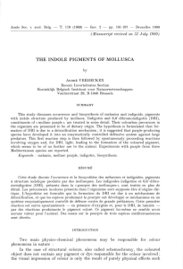 THE  INDOLE  PIGMENTS  OF  MOLLUSCA J