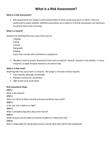 What is a Risk Assessment?