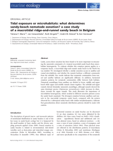 Tidal exposure or microhabitats: what determines