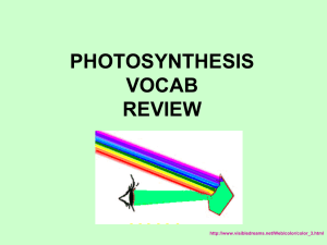 PHOTOSYNTHESIS VOCAB REVIEW