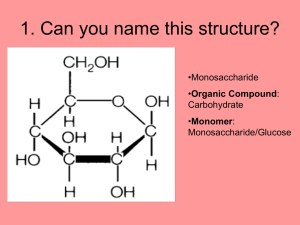 1. Can you name this structure? •Monosaccharide Organic Compound Carbohydrate