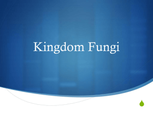 Kingdom Fungi S