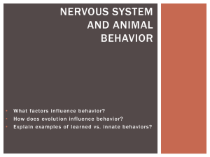 NERVOUS SYSTEM AND ANIMAL BEHAVIOR