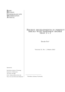 Recent developments in perfect bricks with dimension higher than 2 × 2 Rose-