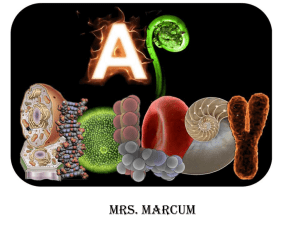 Welcome to AP Biology Mrs. Marcum