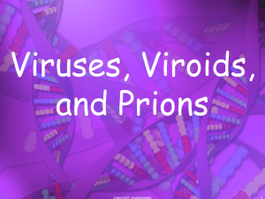 Viruses, Viroids, and Prions 1 copyright cmassengale