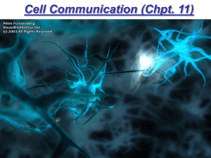 Cell Communication (Chpt. 11) Chapter 11
