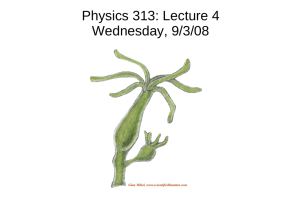 Physics 313: Lecture 4 Wednesday, 9/3/08