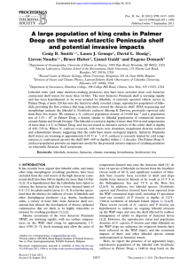 A  large  population  of  king ... Deep  on  th e w e st ... and  potential  invasive  im pacts