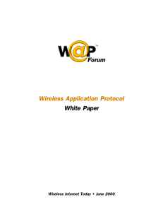 Wireless Application Protocol Forum White Paper Wireless Internet Today • June 2000