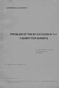THE PROBLEM OF THE BY-CATCHES IN FISHERY FOR SHRIMPS EUROPEAN COMMISSION