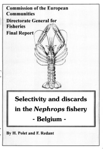 Selectivity and discards Nephrops -  Belgium - Commission of the European
