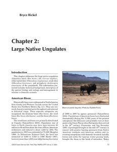 Chapter 2: Large Native Ungulates Bryce Rickel Introduction_______________________
