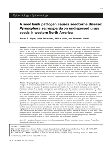 A seed bank pathogen causes seedborne disease: Pyrenophora semeniperda Epidemiology / Épidémiologie