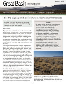 Seeding Big Sagebrush Successfully on Intermountain Rangelands