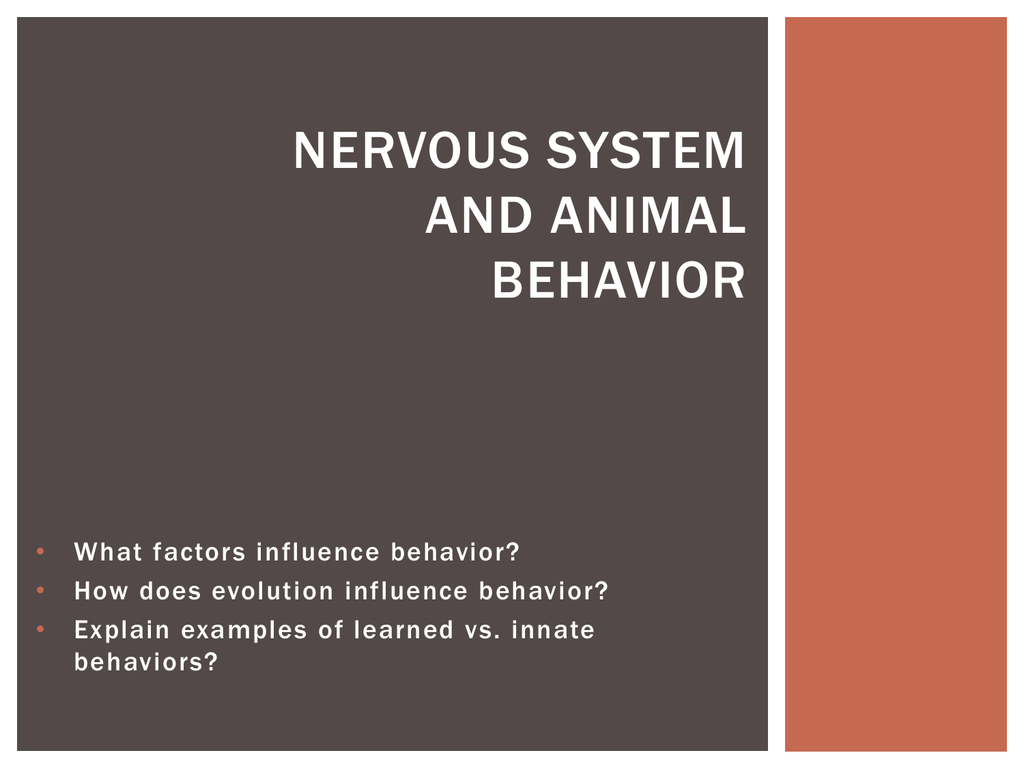 NERVOUS SYSTEM AND ANIMAL BEHAVIOR