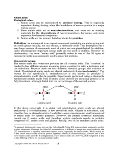 produce  energy energy source. Amino acids