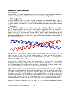 Proteins  fall  into  three  general ... structure and on their functional role: fibrous, membrane, and globular.