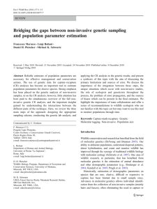 Bridging the gaps between non-invasive genetic sampling and population parameter estimation REVIEW
