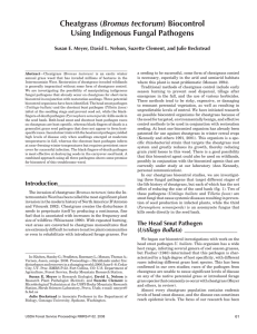 Bromus tectorum Using Indigenous Fungal Pathogens