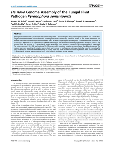 De novo Pyrenophora semeniperda Genome Assembly of the Fungal Plant Pathogen