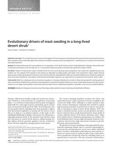 Evolutionary drivers of mast-seeding in a long-lived desert shrub  1