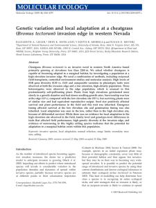 Genetic variation and local adaptation at a cheatgrass (
