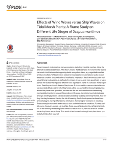 Effects of Wind Waves versus Ship Waves on Scirpus maritimus
