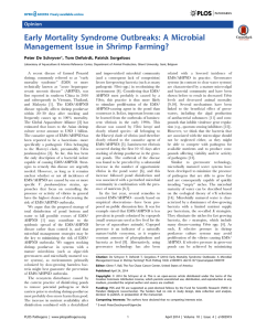 Early Mortality Syndrome Outbreaks: A Microbial Management Issue in Shrimp Farming? Opinion