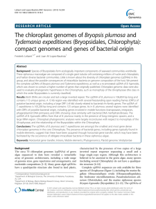 The chloroplast genomes of Bryopsis plumosa and Tydemania expeditiones (Bryopsidales, Chlorophyta):