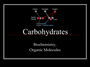 Carbohydrates Biochemistry, Organic Molecules