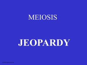 JEOPARDY MEIOSIS S2C06 Jeopardy Review