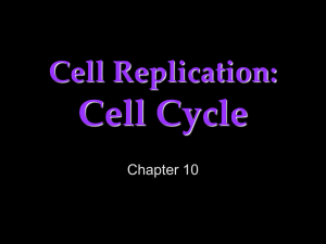 Cell Cycle Cell Replication: Chapter 10
