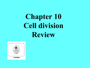Chapter 10 Cell division Review