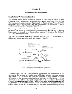 Chapter 3 Physiology of Adrenal Steroids Regulation of Aldosterone Secretion