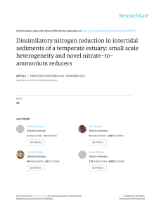 Dissimilatory	nitrogen	reduction	in	intertidal sediments	of	a	temperate	estuary:	small	scale heterogeneity	and	novel	nitrate-to-