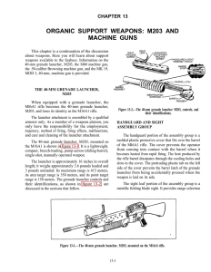 ORGANIC SUPPORT WEAPONS: M203 AND MACHINE GUNS CHAPTER 13