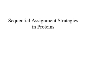 Sequential Assignment Strategies in Proteins