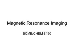 Magnetic Resonance Imaging BCMB/CHEM 8190