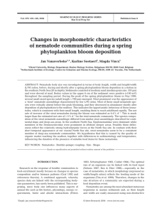 Changes in morphometric characteristics of nematode communities during a spring