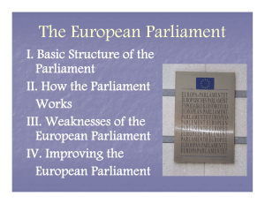 The European Parliament p