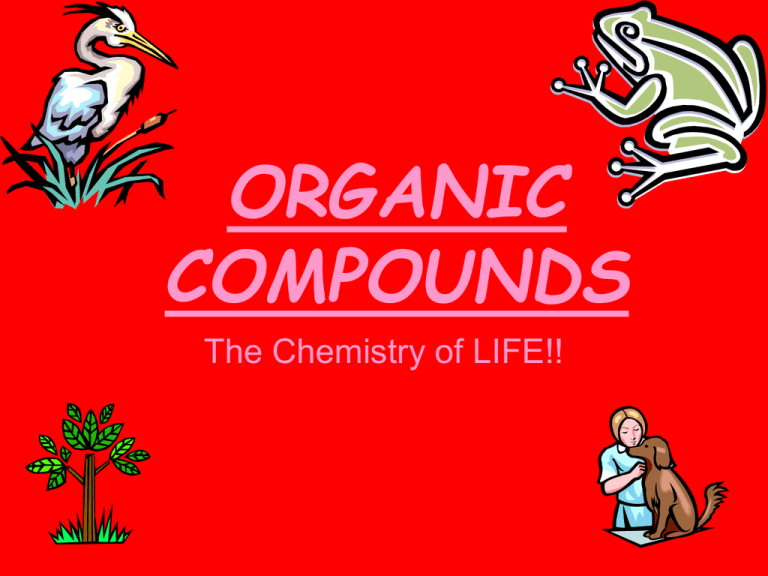 What Are The Types Of Organic Compounds Brainly